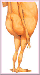 man-bottom